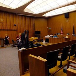 ATRON || Attorney & Lawyers WordPress Theme