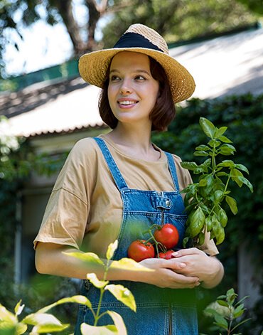 Agricus – Agriculture Farming WordPress Theme