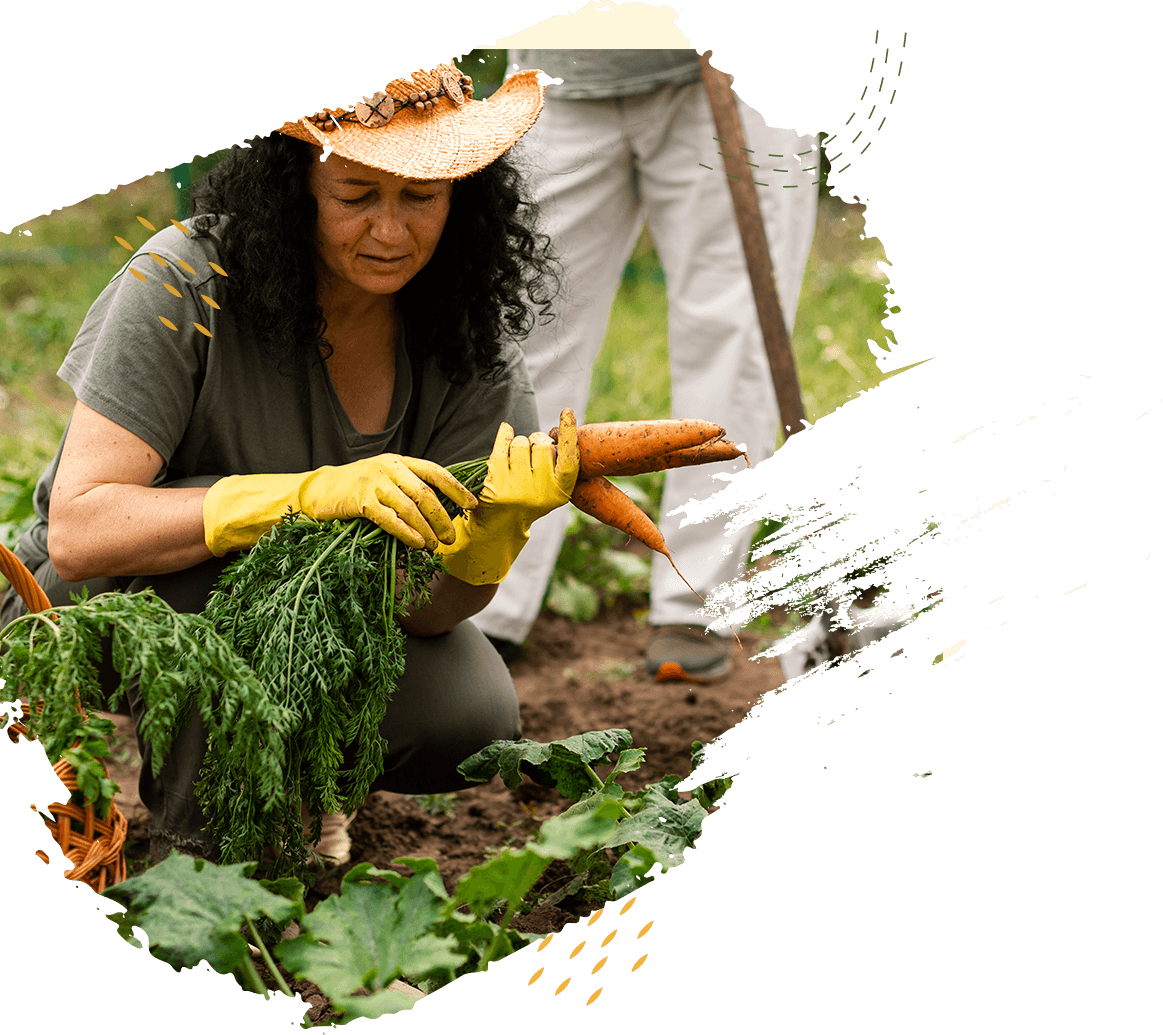 Agricus – Agriculture Farming WordPress Theme